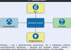 Интерактивные курсы. Биология 5 класс. Базовый - fgospostavki.ru - Асбест