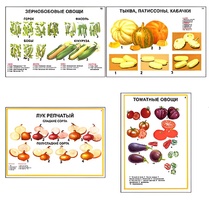 Плакаты ПРОФТЕХ "Ассортимент овощных культур" (12 пл, винил, 70х100) - fgospostavki.ru - Асбест