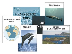 Модель-аппликация "Океаны. Знакомство" (ламинированная) - fgospostavki.ru - Асбест