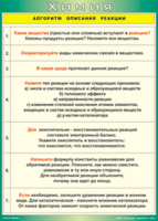 Таблица "Алгоритм описания реакции" (100х140 сантиметров, винил) - fgospostavki.ru - Асбест