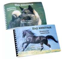 Пособие для слабовидящих - Домашние животные - fgospostavki.ru - Асбест