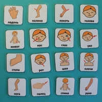 Набор карточек "Части тела" - fgospostavki.ru - Асбест