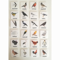 Набор карточек "ПТИЦЫ" - fgospostavki.ru - Асбест