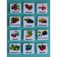 Набор карточек "Ягоды" - fgospostavki.ru - Асбест