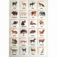 Набор карточек "ЖИВОТНЫЕ" - fgospostavki.ru - Асбест