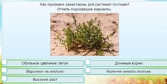 Интерактивные курсы. Окружающий мир 3 класс . Базовый. - fgospostavki.ru - Асбест