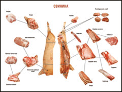 Таблица "Правила разделки мясных туш. Свинина" (100х140 сантиметров. винил) - fgospostavki.ru - Асбест