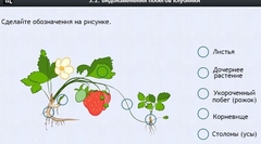 Интерактивные курсы. Биология 7 класс. Расширенный. - fgospostavki.ru - Асбест