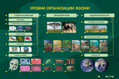 Электрифицированный стенд "Уровни организации жизни" - fgospostavki.ru - Асбест