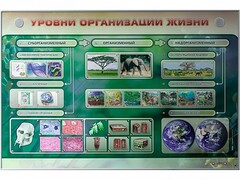 Электрифицированный стенд "Уровни организации жизни" - fgospostavki.ru - Асбест