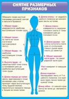 Стенд "Снятие мерок" Вариант 2 - fgospostavki.ru - Асбест