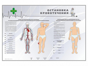 Электрифицированный стенд "Остановка кровотечения" - fgospostavki.ru - Асбест