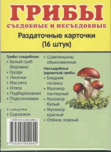 Раздаточные карточки "Грибы съедобные и не съедобные" - fgospostavki.ru - Асбест