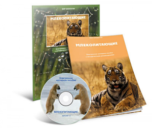 Электронное наглядное пособие «Млекопитающие» - fgospostavki.ru - Асбест