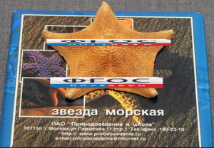 Сухой препарат "Звезда морская" - fgospostavki.ru - Асбест