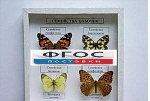 Коллекция "Семейство бабочек" - fgospostavki.ru - Асбест