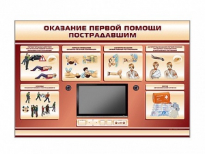 Многофункциональный интерактивный стенд-тренажер "Оказание первой помощи пострадавшим" для учащихся общеобразовательных учреждений - fgospostavki.ru - Асбест