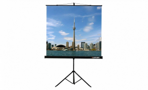 Проекционный экран на штативе Lumien Eco View (LEV-100105) 160x160 см - fgospostavki.ru - Асбест
