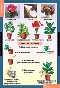 Комплект таблиц. Окружающий мир 1 класс. - fgospostavki.ru - Асбест