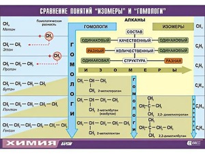 Таблица демонстрационная "Сравнение понятий изомер и гомолог" (винил 70x100) - fgospostavki.ru - Асбест