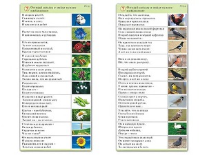 Комплект карточек (10) "Обучающий калейдоскоп. Природа" - fgospostavki.ru - Асбест