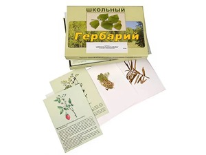 Гербарий "Для начальной школы" (30 видов, с иллюстрациями) - fgospostavki.ru - Асбест