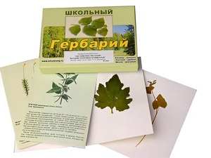 Гербарий "Систематика растений. Высшие споровые и семенные" (раздаточный) - fgospostavki.ru - Асбест