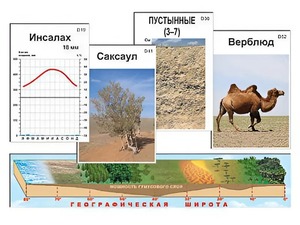 Модель-аппликация "Природные зоны" - fgospostavki.ru - Асбест