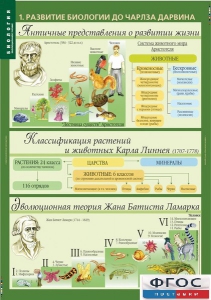 Комплект таблиц. Биология 10-11 класс. Эволюционное учение. - fgospostavki.ru - Асбест