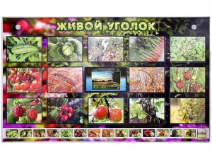 Комплект оборудования "Живой уголок" (растения) с тифлопереводом и сурдокомментариями - fgospostavki.ru - Асбест