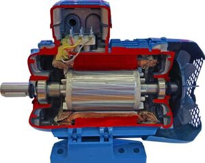 Учебная модель «Электродвигатель асинхронный в разрезе» - fgospostavki.ru - Асбест