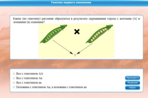 Интерактивные курсы. Биология 11 класс. Базовый. - fgospostavki.ru - Асбест