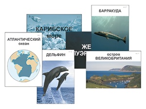 Модель-аппликация "Океаны. Знакомство" (ламинированная) - fgospostavki.ru - Асбест