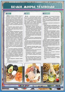Стенд "Белки. Жиры. Углеводы" - fgospostavki.ru - Асбест