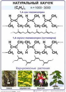 Комплект демонстрационных таблиц по химии "Полимеры" (комплект 12 таблиц) - fgospostavki.ru - Асбест