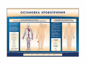 Электрифицированный стенд-тренажер "Остановка кровотечения" - fgospostavki.ru - Асбест