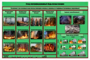 Стенд-планшет электрифицированный «Виды лесных пожаров»  - fgospostavki.ru - Асбест