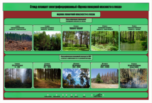 Стенд-планшет электрифицированный «Оценка пожарной опасности в лесах»  - fgospostavki.ru - Асбест