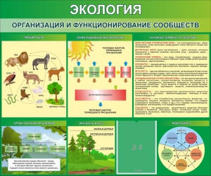 Стенд "Экология. Организация и функционирование сообществ" - fgospostavki.ru - Асбест