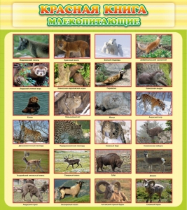 Стенд "Красная книга - млекопитающие" - fgospostavki.ru - Асбест