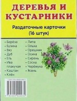 Раздаточные карточки "Деревья и кустарники" - fgospostavki.ru - Асбест