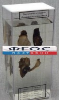 Влажный препарат "Внутреннее строение брюхоногого моллюска" - fgospostavki.ru - Асбест