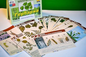 Гербарий к курсу основ общей биологии - fgospostavki.ru - Асбест