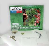 Гербарий "Основные группы растений" (52 листа) - fgospostavki.ru - Асбест