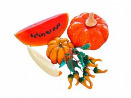 Набор муляжей "Бахчевые культуры" - fgospostavki.ru - Асбест