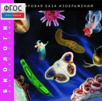 Биология. Микрофотографии. (Цифровая база изображений) - fgospostavki.ru - Асбест