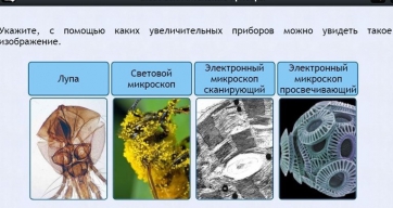 Интерактивные курсы. Биология 5 класс. Расширенный - fgospostavki.ru - Асбест