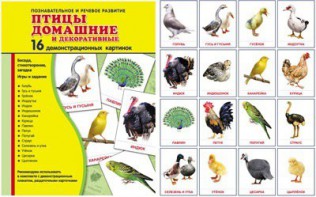 Демонстрационные карточки "Птицы домашние и декоративные" - fgospostavki.ru - Асбест