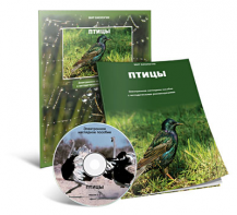 Электронное наглядное пособие «Птицы» - fgospostavki.ru - Асбест