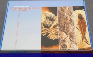 Коллекция "Палеонтологическая" (16 образцов) - fgospostavki.ru - Асбест